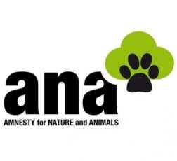 Amnesty for Nature and Animals